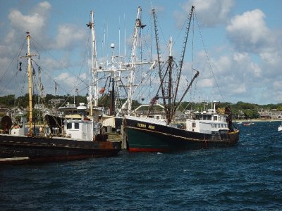 SOME OF THE MANY FISHING BOATS IN THE P TOWN HARBOR-THE FISHING INDUSTRY IS HURTING