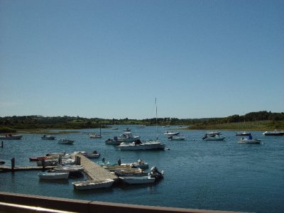 ONE OF THE MANY HARBORS ON MARTHA'S VINEYARD-THERE WERE BOAT EVERYWHERE
