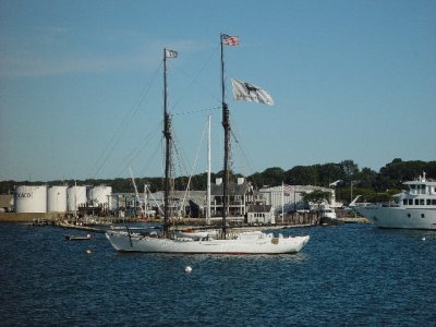 A SMALLER BLACK DOG CHARTER BOAT