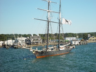 A CLOSER LOOK AT A BLACK DOG SCHOONER