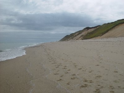 THE BEACHES OF CAPE COD ARE BEAUTIFUL