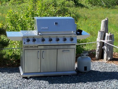 MANY MEALS WERE PREPARED ON THIS TOP OF THE LINE GRILL