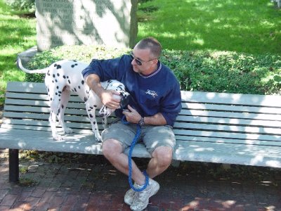 THE RESIDENTS OF P TOWN LOVE THEIR DOGS