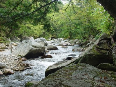THIS IS ONE OF THE MANY STREAMS IN THE GREEN MOUNTAINS OF VERMONT