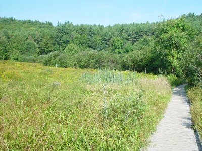 TRAILS AT THE SCIENCE CENTER