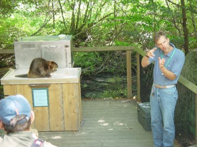 WE LEARNED A LOT ABOUT BEAVERS AT A DEMONSTRATION