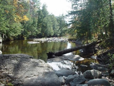 THE STREAMS OF THE ADIRONDACKS ARE BREATH TAKING