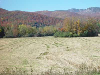 THE MOUNTAIN SIDES WERE ABLAZE WITH COLOR