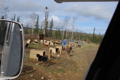 ANNE WAS TENDING TO THE DOGS, A CONSTANT JOB