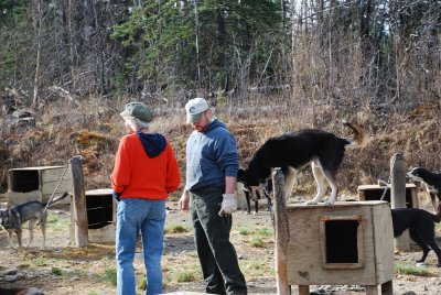 UNTIL THE ALPHA DOG, TODD QUIETED THEM DOWN WITH ONE COMMAND