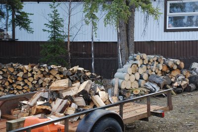 JUST SOME OF THE WOOD THAT HAS TO BE CUT FOR HEATING