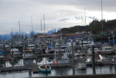 THE BEAUTIFUL CITY HARBOR AT VALDEZ WHERE WE TOOK A BOAT CRUISE TO STEPHEN GLACIER