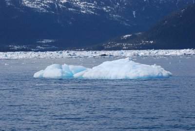 THE ICEBERGS WERE GETTING BIGGER AS WE GOT CLOSER