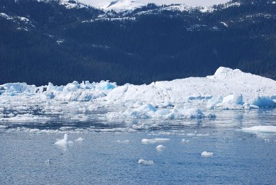 THIS WAS THE FACE OF THE STEPHENS GLACIER