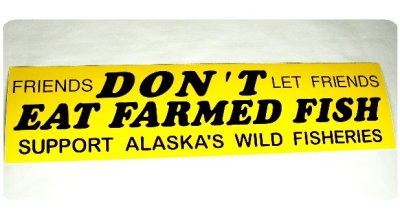 THIS IS A VERY COMMON BUMPER STICKER IN ALASKA-NO FARMED FISH AT AN ALASKAN BAKE