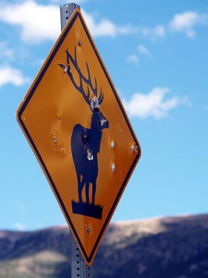 WILDLIFE SIGNS ARE A VERY POPULAR TARGET