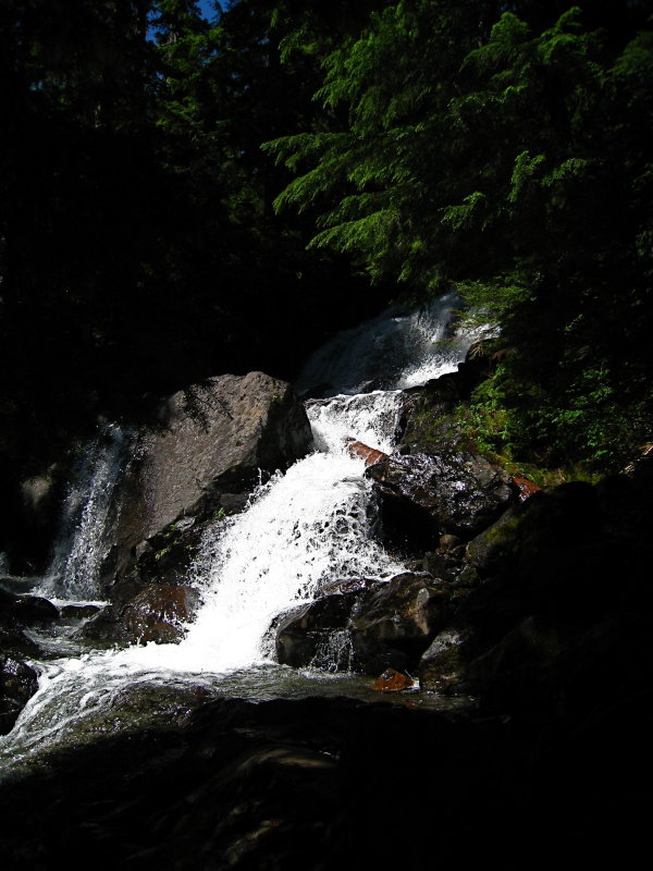IMG_0049.JPG