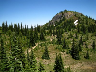 IMG_0117.JPG