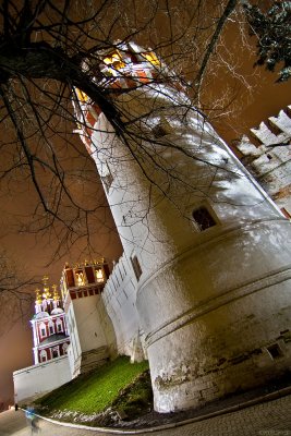 Novodevichy Monastery