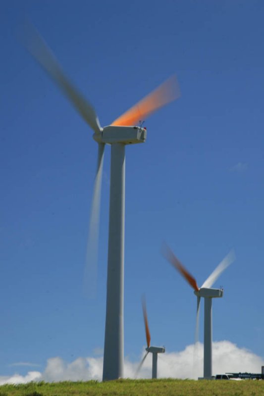 Electricity generating windmills