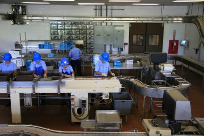 Ladies working at Mauna Loa Macadamia Nut Factory (remind anyone of a I Love Lucy episode???)