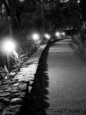 Night walk / Caminata nocturna