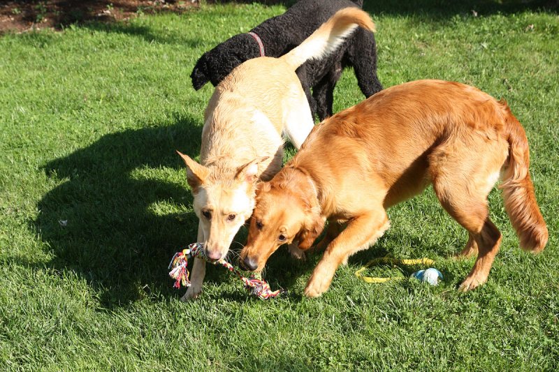 Sammy and next condender Lola