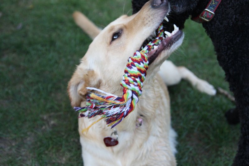 Foul play: too close contact