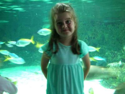 Swimming with the fishes
