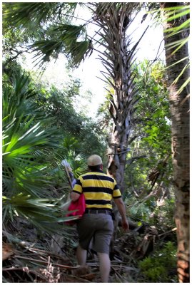 These woods also offer a variety of unusual wildlife and exotic insect species.......here we see a giant yellow jacket that has learned to walk upright.