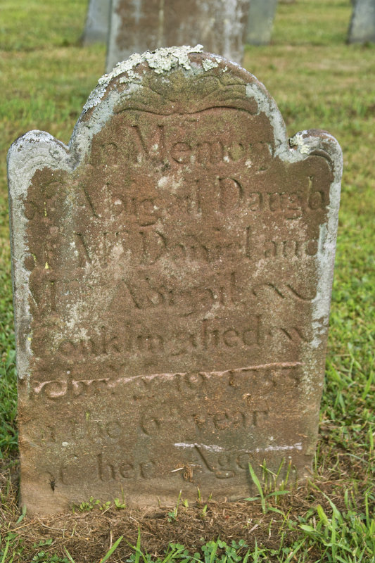 SDIM0129.jpg