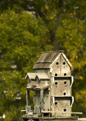 _DSC0952.jpg
