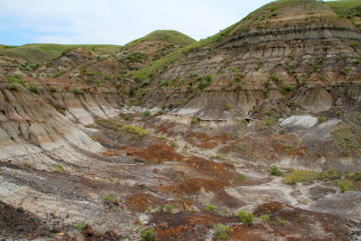 Colours in the Rock