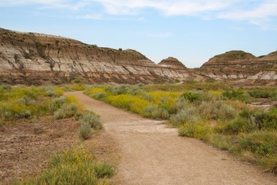 Pathway