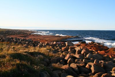 Near Musgrave Harbour