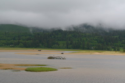 Local Lake