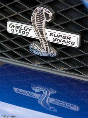 Shelby Super Snake MAA_0816.jpg