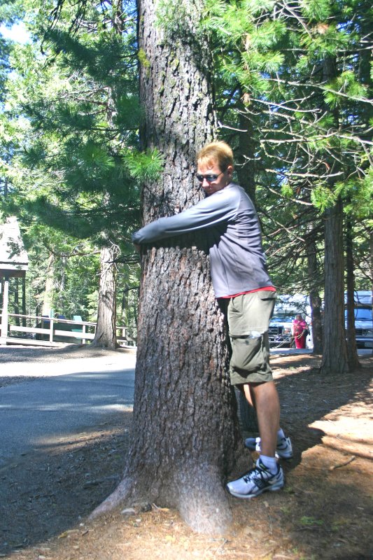 Wayne the Tree Hugger