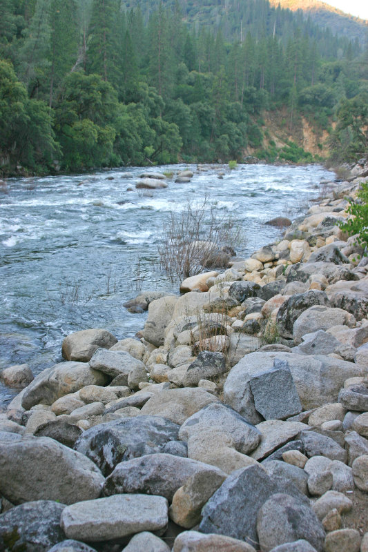 Looking downstream