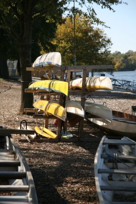 Sculls stored along Kelly Drive