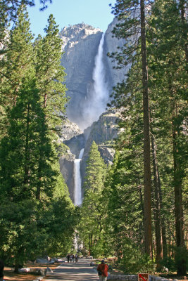View of Yosemite Falls from the Lower Falls Trail