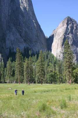 El Capitan meadow