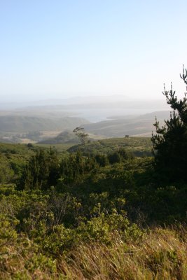 View to the estuary from Mount Vision Road