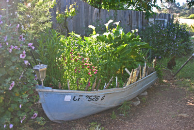 Can't find a flowerpot? Just use your boat.