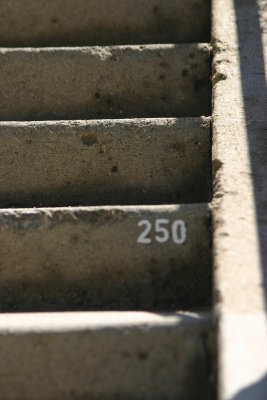 I don't think numbering the steps helps on the way up.