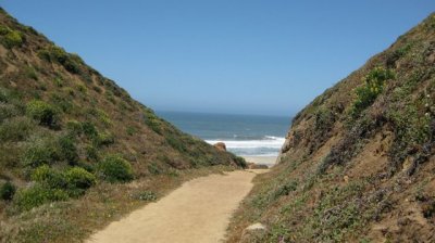 Path to McClures Beach at Point Reyes