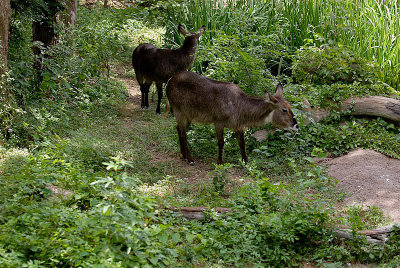 DSC_5281.jpg