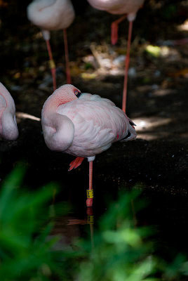 DSC_5299.jpg
