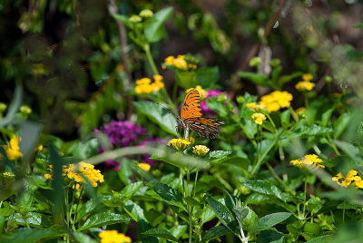 DSC_5363.jpg