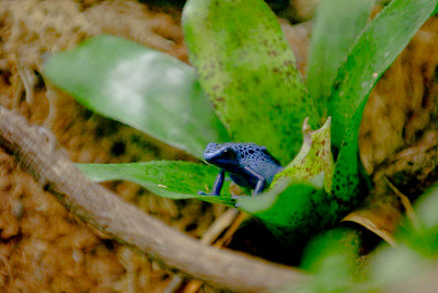 DSC_5424.jpg